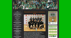 Desktop Screenshot of bembrivefsala.com